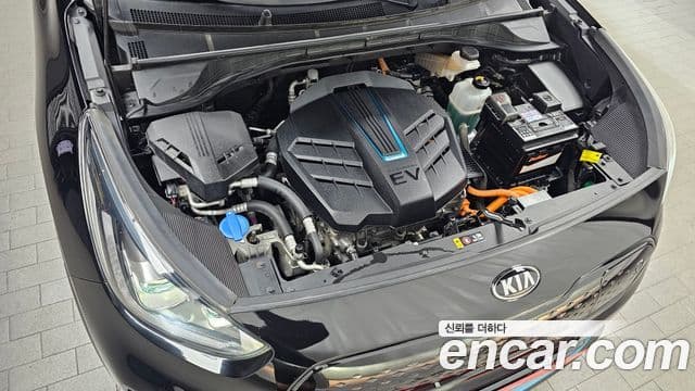 Kia Niro EV Noblesse, 2019 6