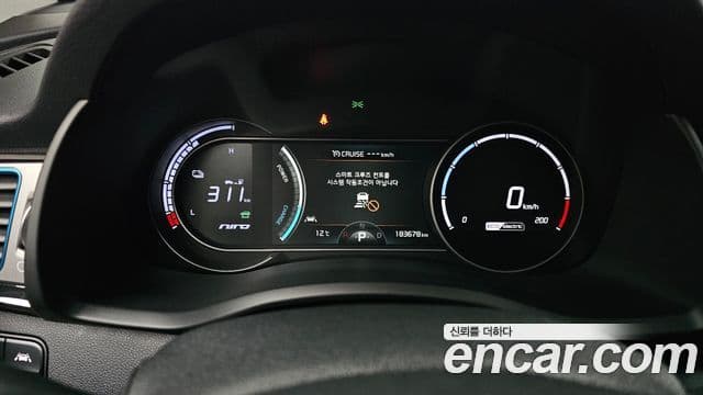 Kia Niro EV Noblesse, 2019 8