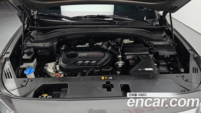 Hyundai Santa Fe TM Exclusive, 2020 6