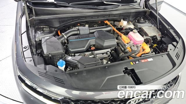 Kia Sorento 4세대 Gravity, 2021 6