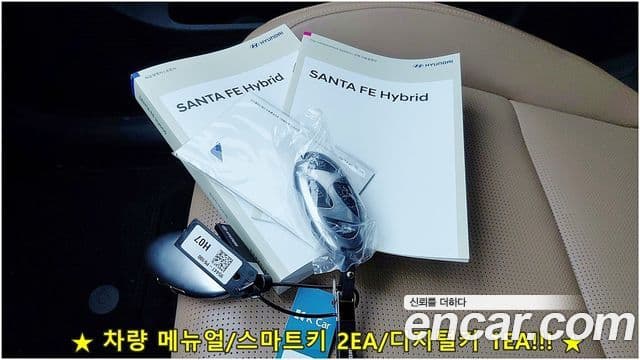 Hyundai Santa Fe (MX5) Calligraphy, 2024 16