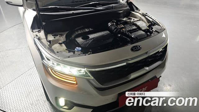 Kia Seltos Noblesse, 2020 6