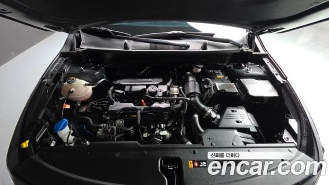 Kia Sportage 5세대 Prestige, 2024 6