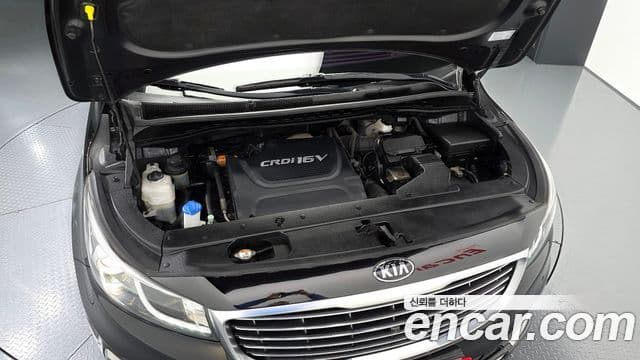 Kia All New Carnival Noblesse, 2017 6