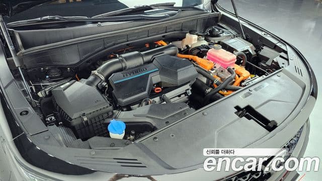 Kia Sorento 4세대 Gravity, 2021 6