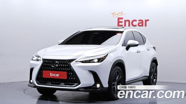 Lexus NX350h 2세대 Premium, 2025 1