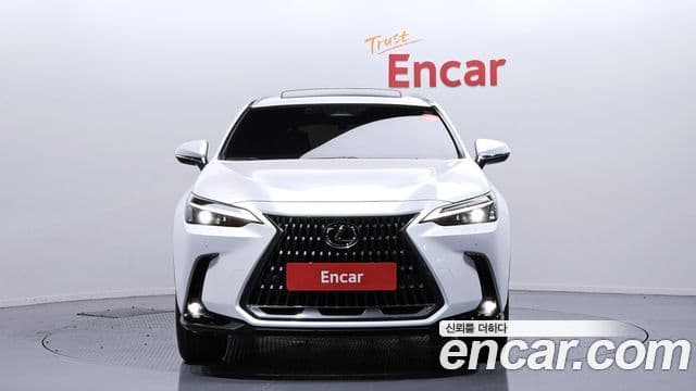 Lexus NX350h 2세대 Premium, 2025 3