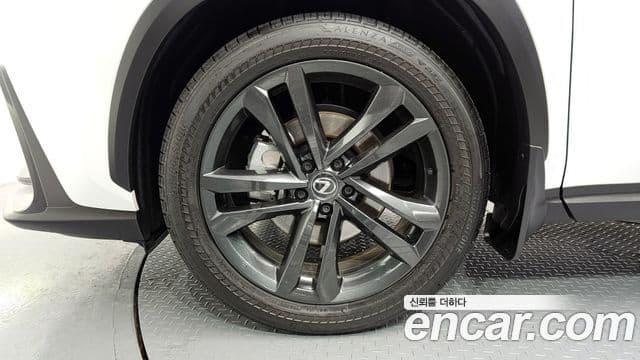 Lexus NX350h 2세대 Premium, 2025 все фото