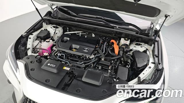 Lexus NX350h 2세대 Premium, 2025 6