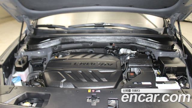 Hyundai Santa Fe TM Premium, 2019 6