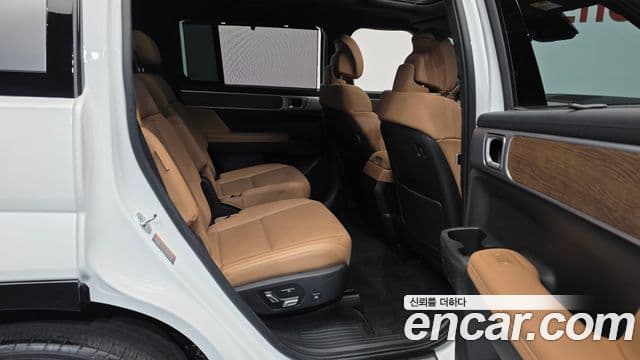 Hyundai Santa Fe (MX5) Calligraphy, 2024 12