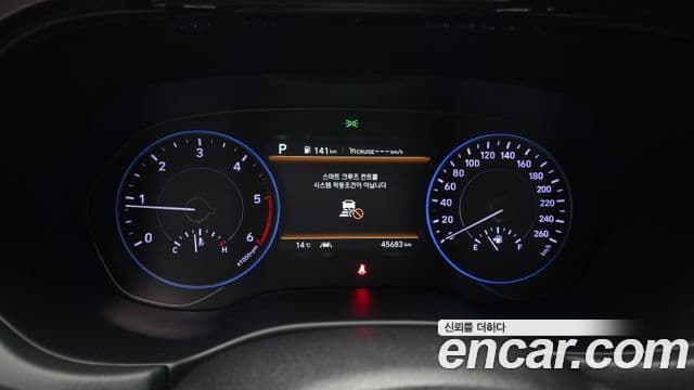 Hyundai Palisade Prestige, 2019 8