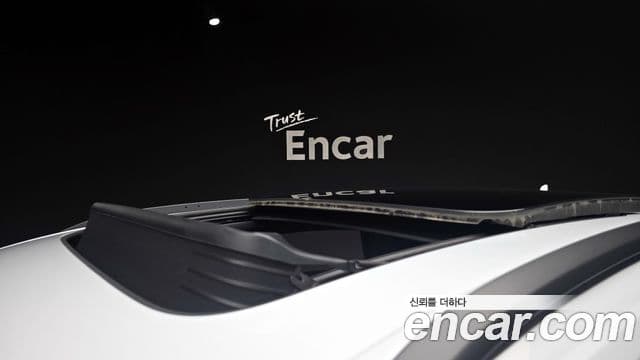 Audi Q8 (4M) Premium, 2023 19