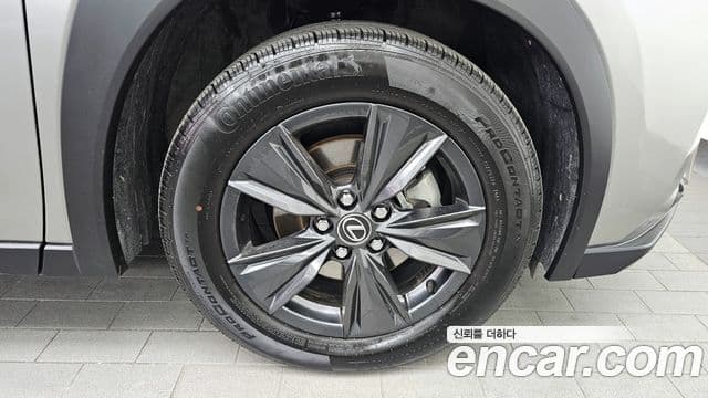 Lexus UX300h, 2025 все фото