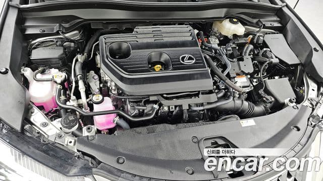 Lexus UX300h, 2025 6