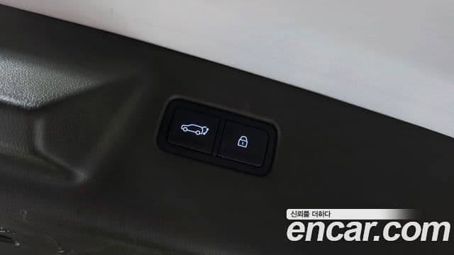 Hyundai Santa Fe (MX5) Calligraphy, 2024 20