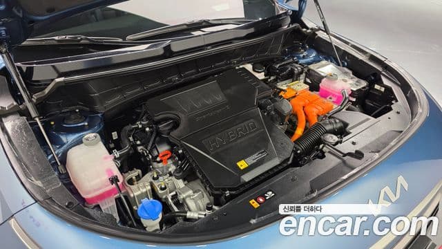 Kia D All New Niro Signature, 2024 6