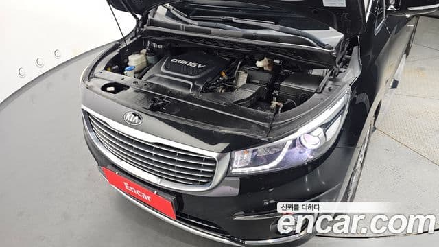 Kia All New Carnival Noblesse, 2016 6