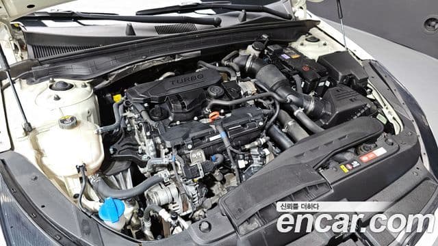 Kia K5 3세대 Noblesse, 2021 6