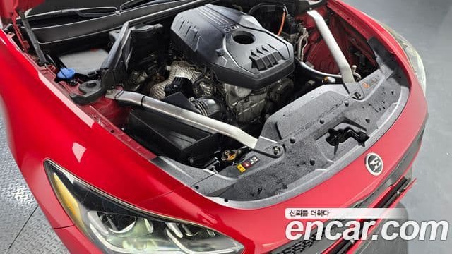 Kia 스팅어 Platinum, 2019 6