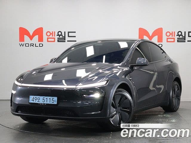 Tesla модель Y Long Range AWD, 2025 1