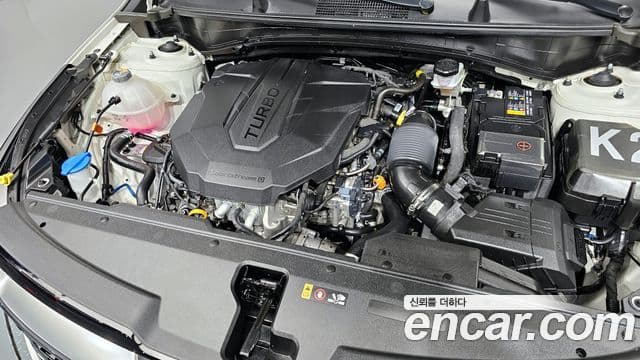 Kia Sportage 5세대 Signature, 2023 6