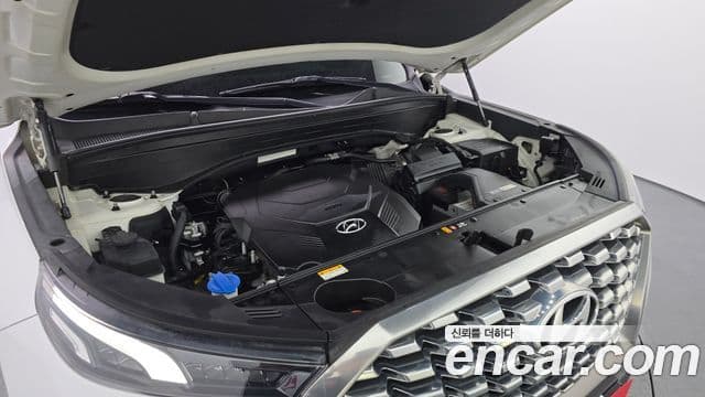 Hyundai Palisade Prestige, 2019 6