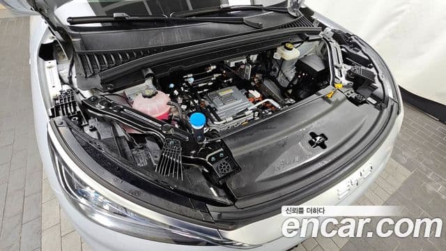 BYD Ato 3 Plus, 2025 6