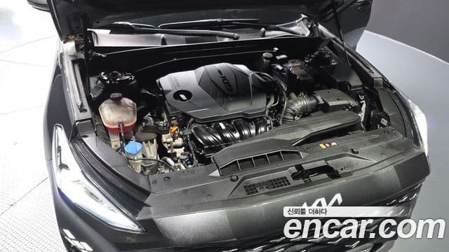 Kia K8 Noblesse Light, 2022 6