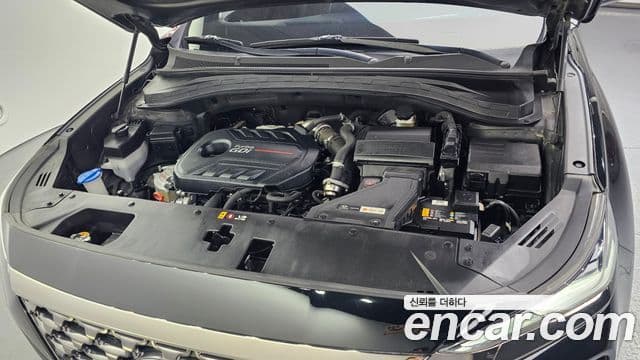 Hyundai Santa Fe TM Inspiration, 2019 6