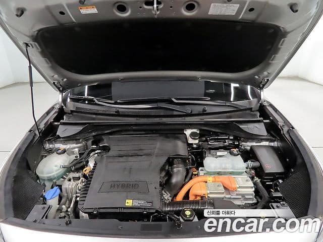 Kia The / новый New Niro Noblesse, 2020 6