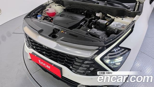 Kia Sportage 5세대 Signature, 2023 6