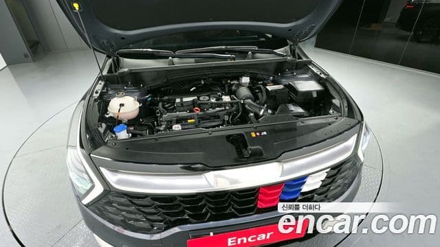 Kia Sportage 5세대 Noblesse, 2024 6