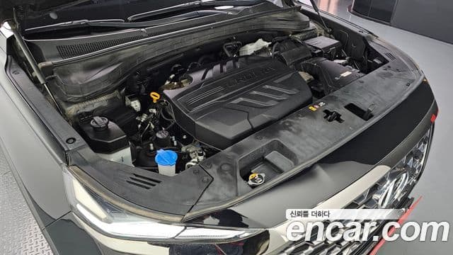 Hyundai Santa Fe TM Exclusive, 2020 6