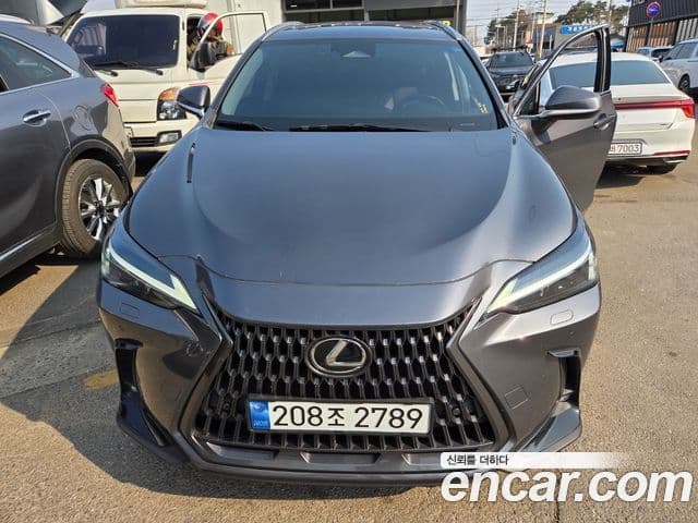 Lexus NX350h 2세대 Premium, 2024 1
