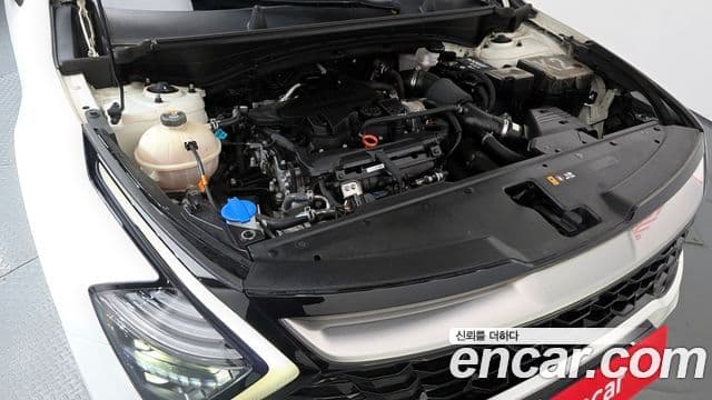 Kia Sportage 5세대 Signature, 2022 6