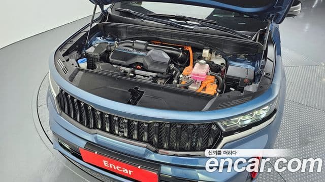 Kia Sorento 4세대 Gravity, 2021 6