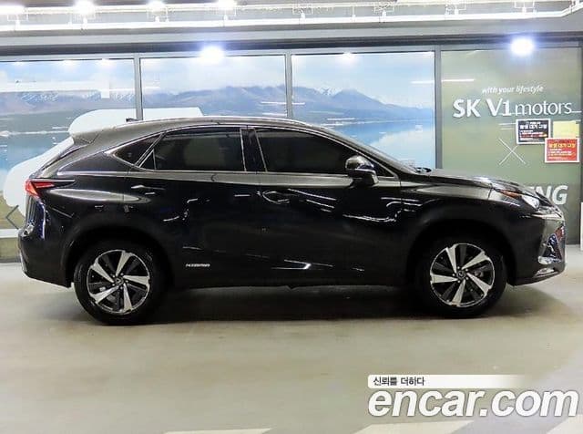 Lexus NX300h Executive, 2019 3