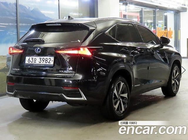 Lexus NX300h Executive, 2019 4