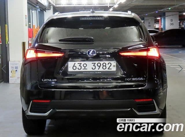 Lexus NX300h Executive, 2019 все фото