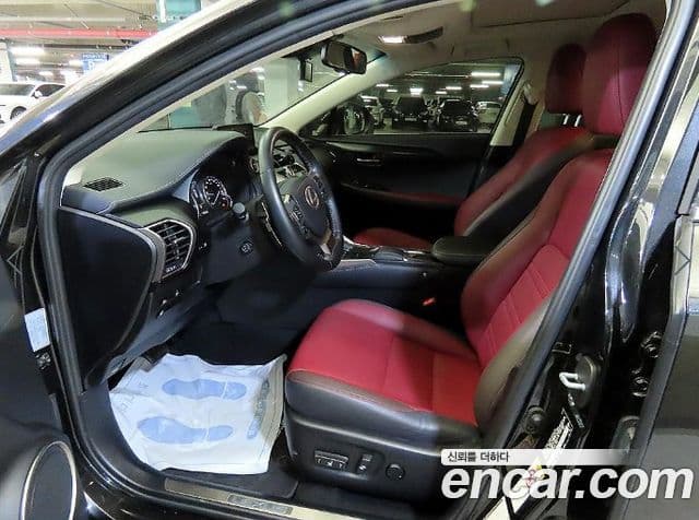 Lexus NX300h Executive, 2019 6