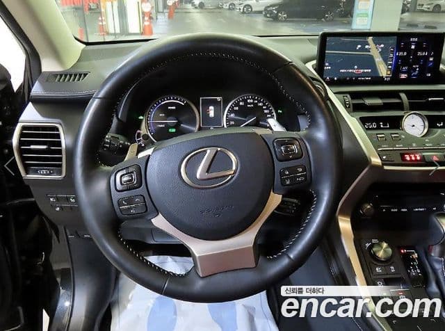 Lexus NX300h Executive, 2019 8