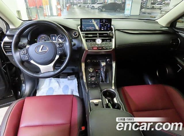 Lexus NX300h Executive, 2019 10