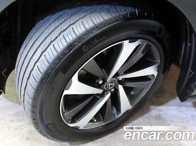 Lexus NX300h Executive, 2019 20