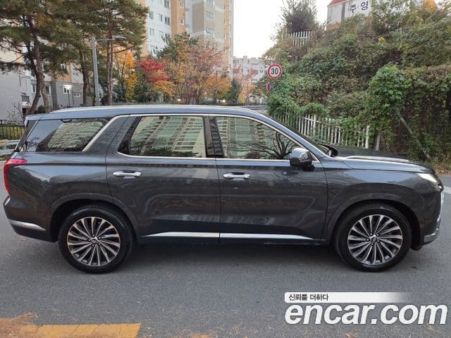 Hyundai The / новый New Palisade Calligraphy, 2024 3