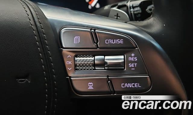 Kia The / новый K9 PlatinumⅢ, 2019 7