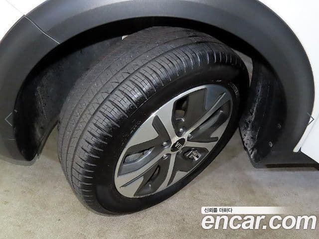 Kia Niro EV Noblesse, 2019 20