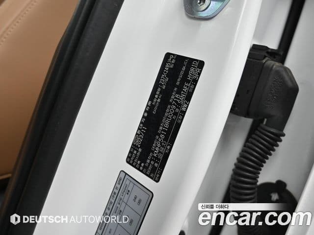 Hyundai Santa Fe (MX5) Calligraphy, 2024 20