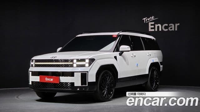 Hyundai Santa Fe (MX5) Calligraphy, 2024 1