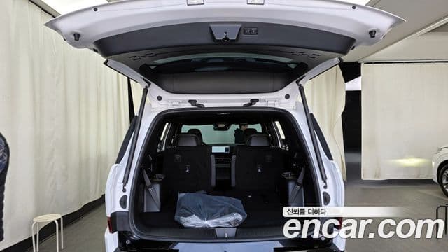 Hyundai Santa Fe (MX5) Calligraphy, 2024 20